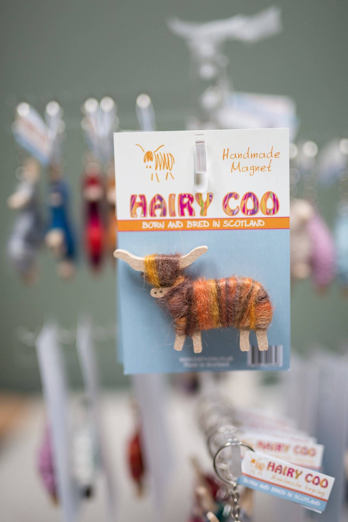 Handmade Highland Cow Magnet - Born and Bred in Scotland